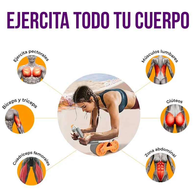 FlexMaster™ Rueda de rebote automático para abdominales + Temporizador 🎁