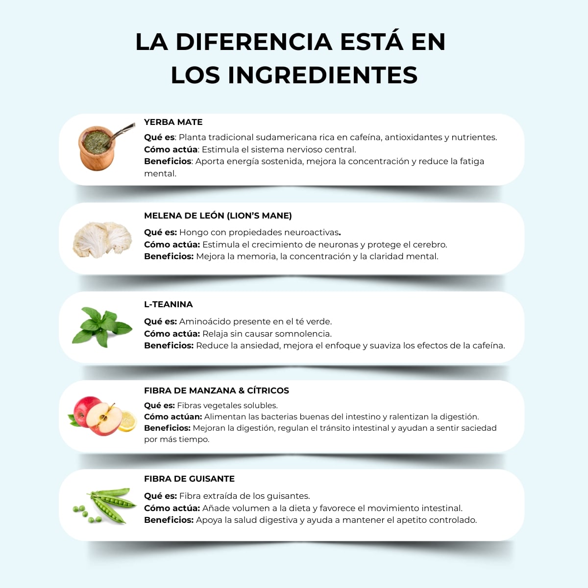 Yerba Magic® - Té instantáneo de Yerba mate en polvo